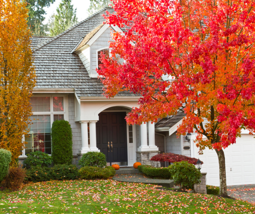 Image of a house front with a tree in the front yard covered with red and orange leaves